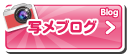 写メブログ
